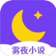 雾夜小说