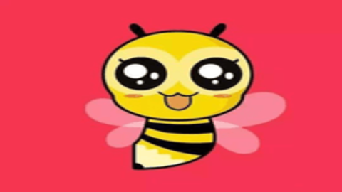 小蜜蜂直播视频  手机版