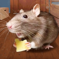 鼠鼠我呀 1.0 安卓版