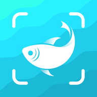 AI写作鱼 1.0.29 手机版