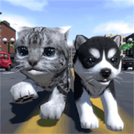 猫咪城市大冒险 3.3.25 手机版